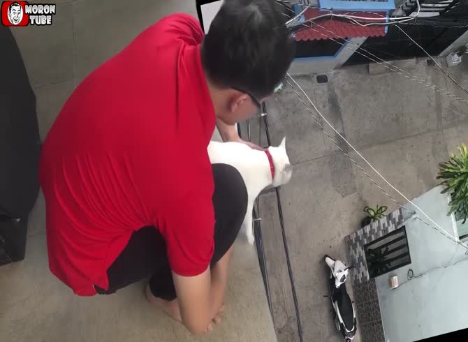 Video :He tosses his cat into the emptiness for amusement